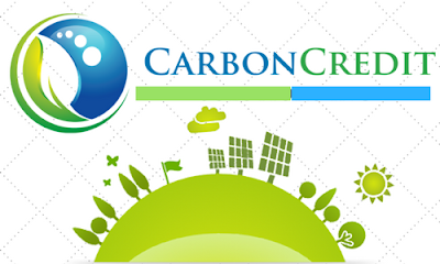 CCSI’S Carbon Credit Donation Program