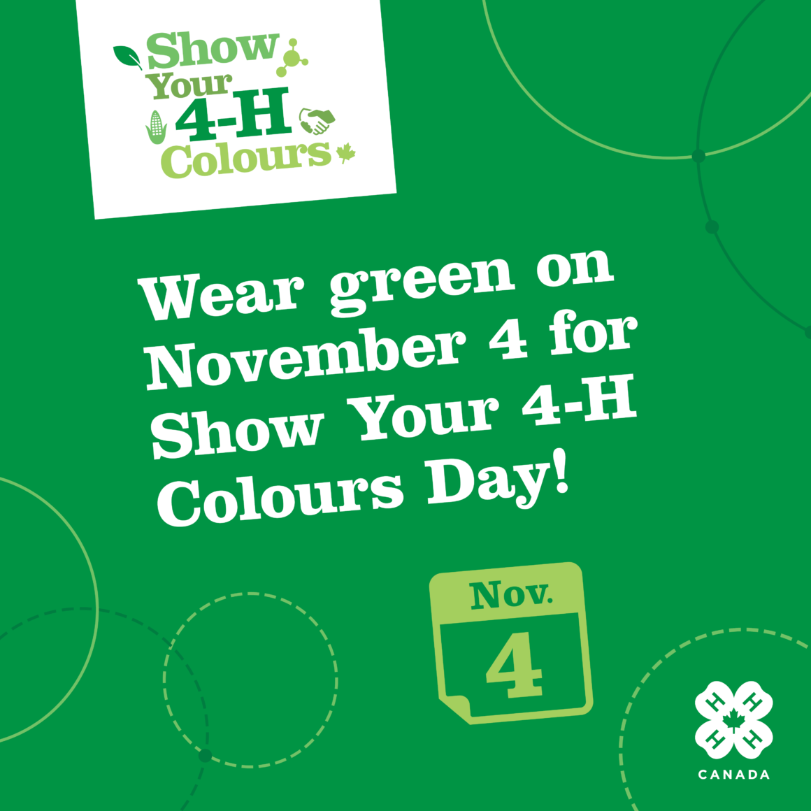 Show Your 4-H Colours!