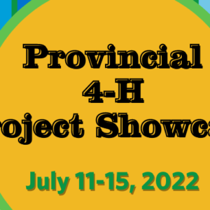 Provincial Project Showcase