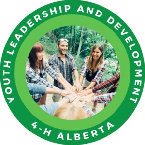 Youth Leadership Experience and Development (YLEAD)