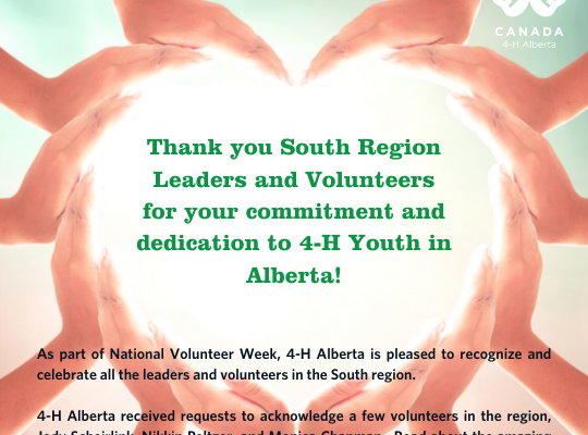 South Region Volunteer Week