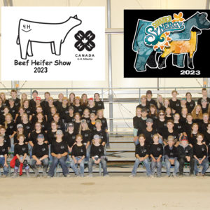47th Annual Provincial Beef Heifer Show a Resounding Success: 100 4-H Members Showcase Exceptional Skill in Olds, AB