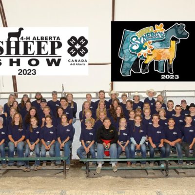 12th Annual Provincial Sheep Show in Olds Celebrates Alberta’s Young Agricultural Talent