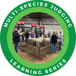 4-H Alberta Multi-Species Judging Learning Series
