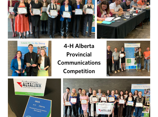 4-H Alberta Celebrates Excellence in Youth Communication Skills at 2024 Provincial Communications Competition